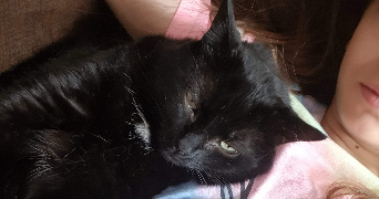 alicia pet sitter à Lille 59800_4