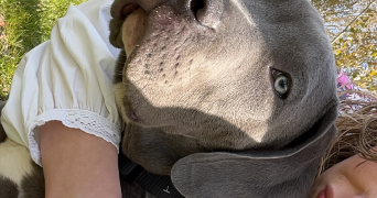 lana pet sitter à BEVILLERS 59217_1