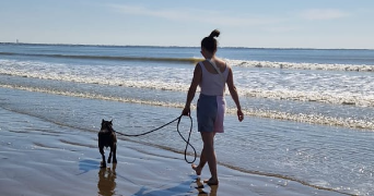 mélanie pet sitter à FAY DE BRETAGNE 44130_1