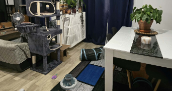 killian pet sitter à REIMS 51100_1