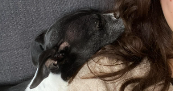 chloé pet sitter à ROUEN 76000_3