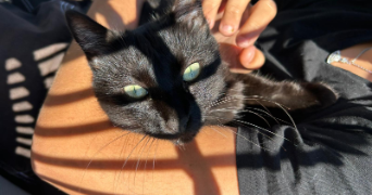 laura pet sitter à VILLEURBANNE 69100_2