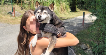 marylène pet sitter à LA NORVILLE 91290_2
