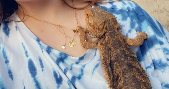 leslie pet sitter à LILLE 59000_2