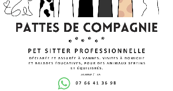 claire pet sitter à VANNES 56000_0