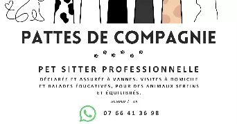 claire pet sitter à VANNES 56000