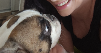 sandy pet sitter à BLANQUEFORT 33290_0
