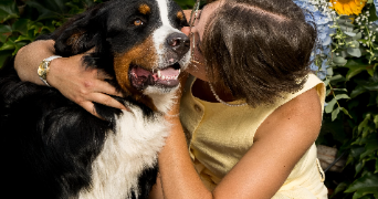iliana pet sitter à AUCAMVILLE 82600_0