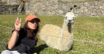 diana pet sitter à ST GERMAIN SUR MORIN 77860