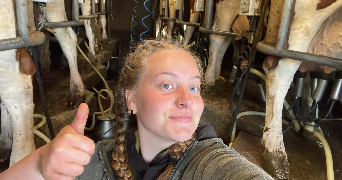 caroline pet sitter à GIROMAGNY 90200_0