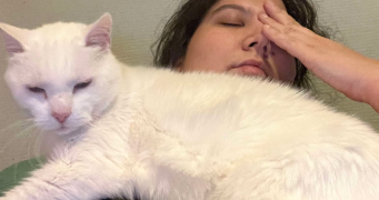anissa pet sitter à MONTPELLIER 34070_2