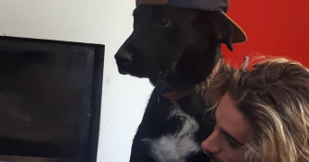yohann dog sitter à TOULOUSE 31000_0