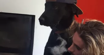 yohann dog sitter à TOULOUSE 31000