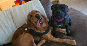 laura pet sitter à VINCENNES 94300_7