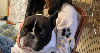 yanchang pet sitter à NEUILLY PLAISANCE 93360_3