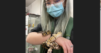 pauline pet sitter à BRETIGNOLLES SUR MER 85470_3