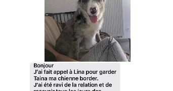 lina pet sitter à Martigues 13500_7