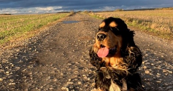 isabelle pet sitter à CROUY EN THELLE 60530_2