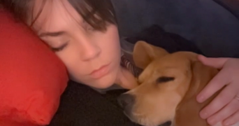 bérénice pet sitter à TOULOUSE 31300_5