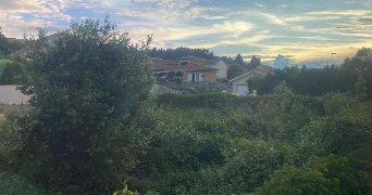 elea pet sitter à VILLEURBANNE 69100_0