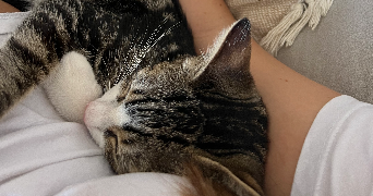 lucie pet sitter à THEZA 66200_6