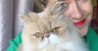 amandine pet sitter à LE MANS 72000_1