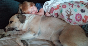 steven pet sitter à PLOUDALMEZEAU 29830_1