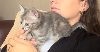 claire pet sitter à FONTENAY AUX ROSES 92260_2