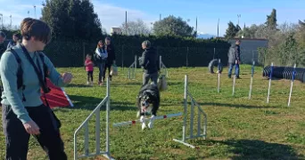 marion pet sitter à BOMPAS 66430