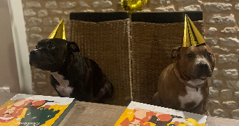 lorie pet sitter à GOND PONTOUVRE 16160_1