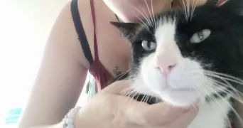 sandra pet sitter à BOURG DES COMPTES 35890