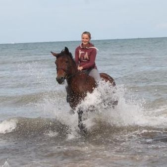 Laura pet sitter à Gif-sur-Yvette 91190_1