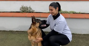 lea pet sitter à PAU 64000_1