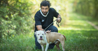 pierre pet sitter à ANGOULEME 16000_0