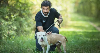 pierre pet sitter à ANGOULEME 16000