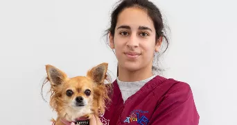 margaux pet sitter à Jaméricourt 60240