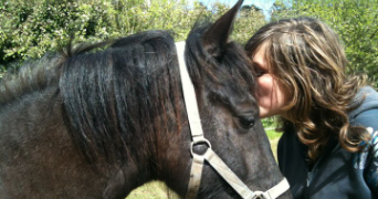 lisa pet sitter à COMMANA 29450_2