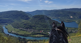 marianne pet sitter à Montcusel 39260_6