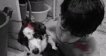 benjamin pet sitter à PASSY 74190