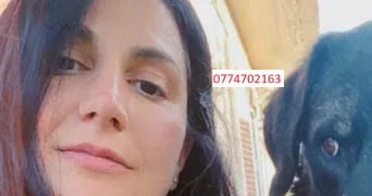 ioanna dog sitter à CHAMPS SUR MARNE 77420