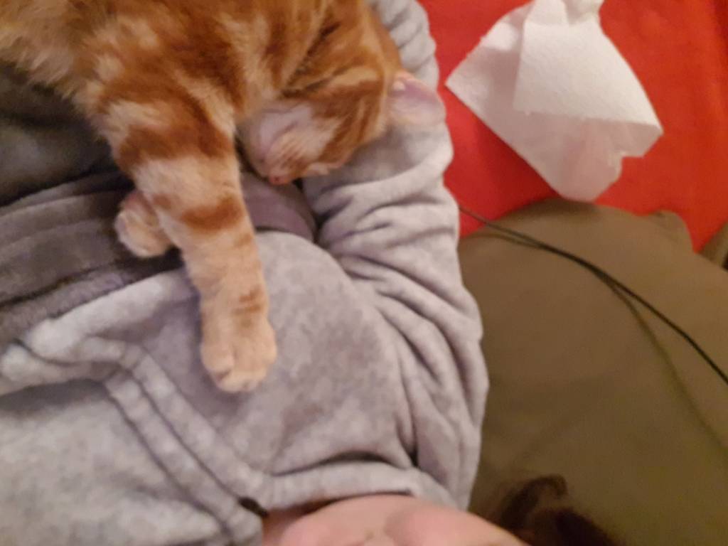 alexandra pet sitter à Paris 75014_1