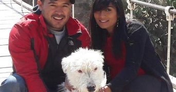 jose luis pet sitter à AYSE 74130_1