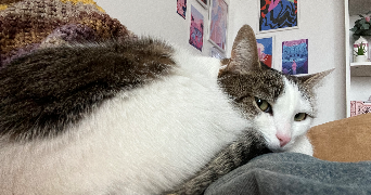 léa pet sitter à COLOMBES 92700_2