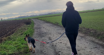 déborah pet sitter à NOYELLES SUR SELLE 59282_4