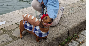 aurélie pet sitter à PARIS 17 75017_5