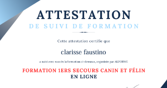 clarisse pet sitter à MASSY 91300_1
