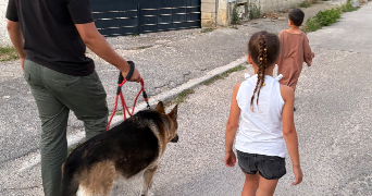 kim pet sitter à BEAUVOISIN 30640_4