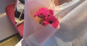 raja pet sitter à ST OUEN L AUMONE 95310