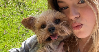 lallie dog sitter à LE MANS 72000_1