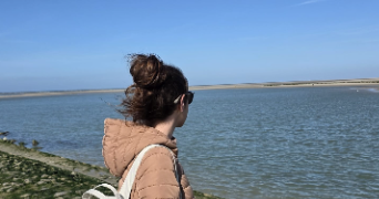 elodie pet sitter à CHAVENAY 78450_0